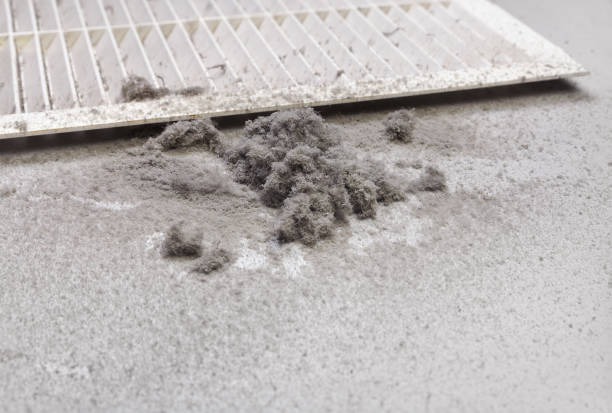 Best Affordable Air Duct Cleaning  in West Clarkston Highland, WA